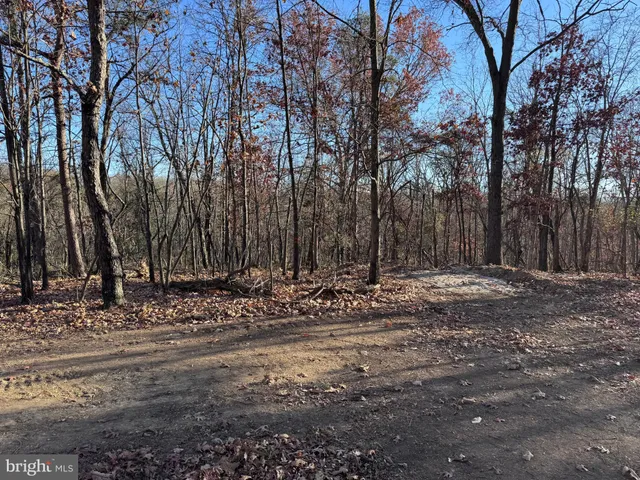 a view of a yard with trees