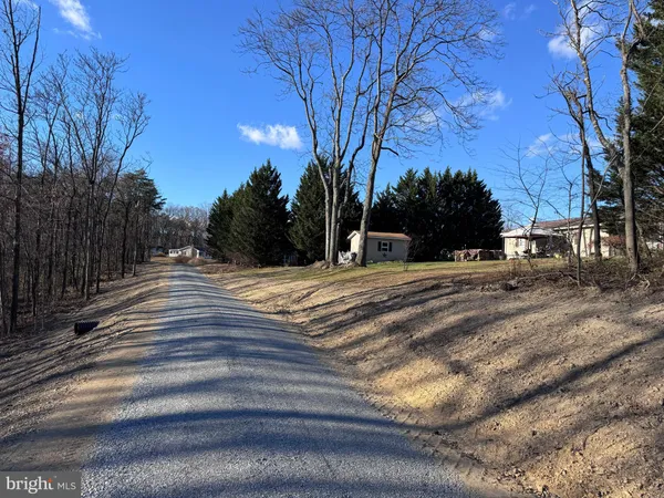 a view of road with trees