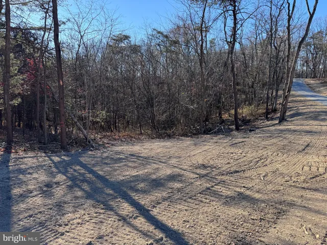 a view of backyard with green space