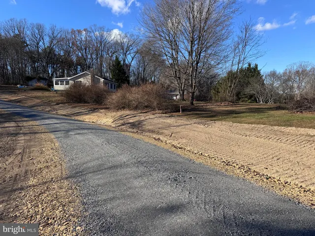 a view of empty space with large trees