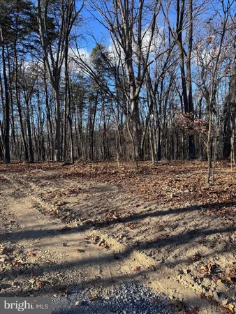 a view of outdoor space with trees
