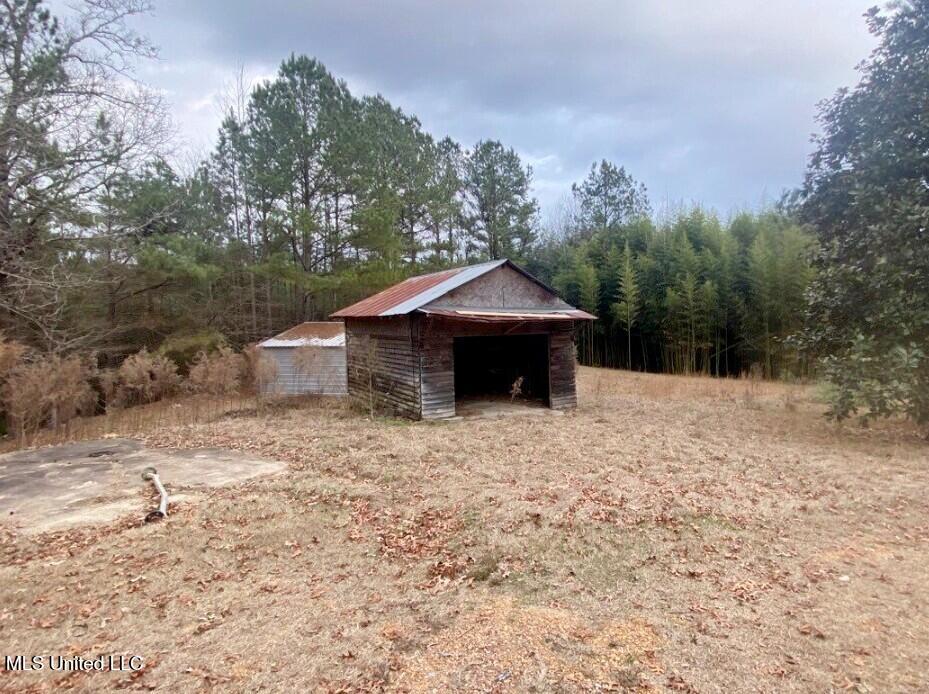 317 Martin Road Carthage, MS 39051 - Photo 10 of 11 24