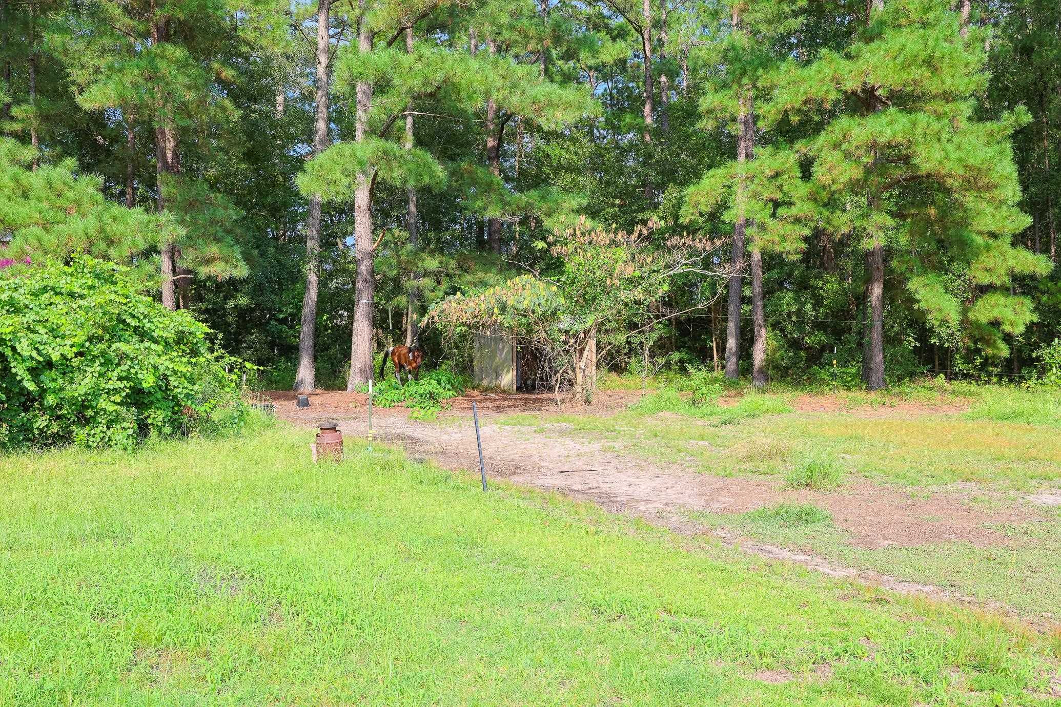 4744 Pauley Swamp Road Conway, SC 29527 - Photo 49 of 56 Gallery Image 49