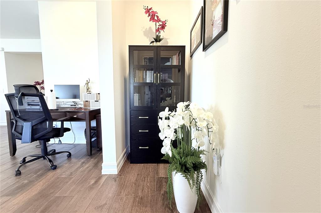 18331 Serene Lk Loop Lutz, FL 33548 - Photo 27 of 46 a view of a workspace with furniture and a potted plant