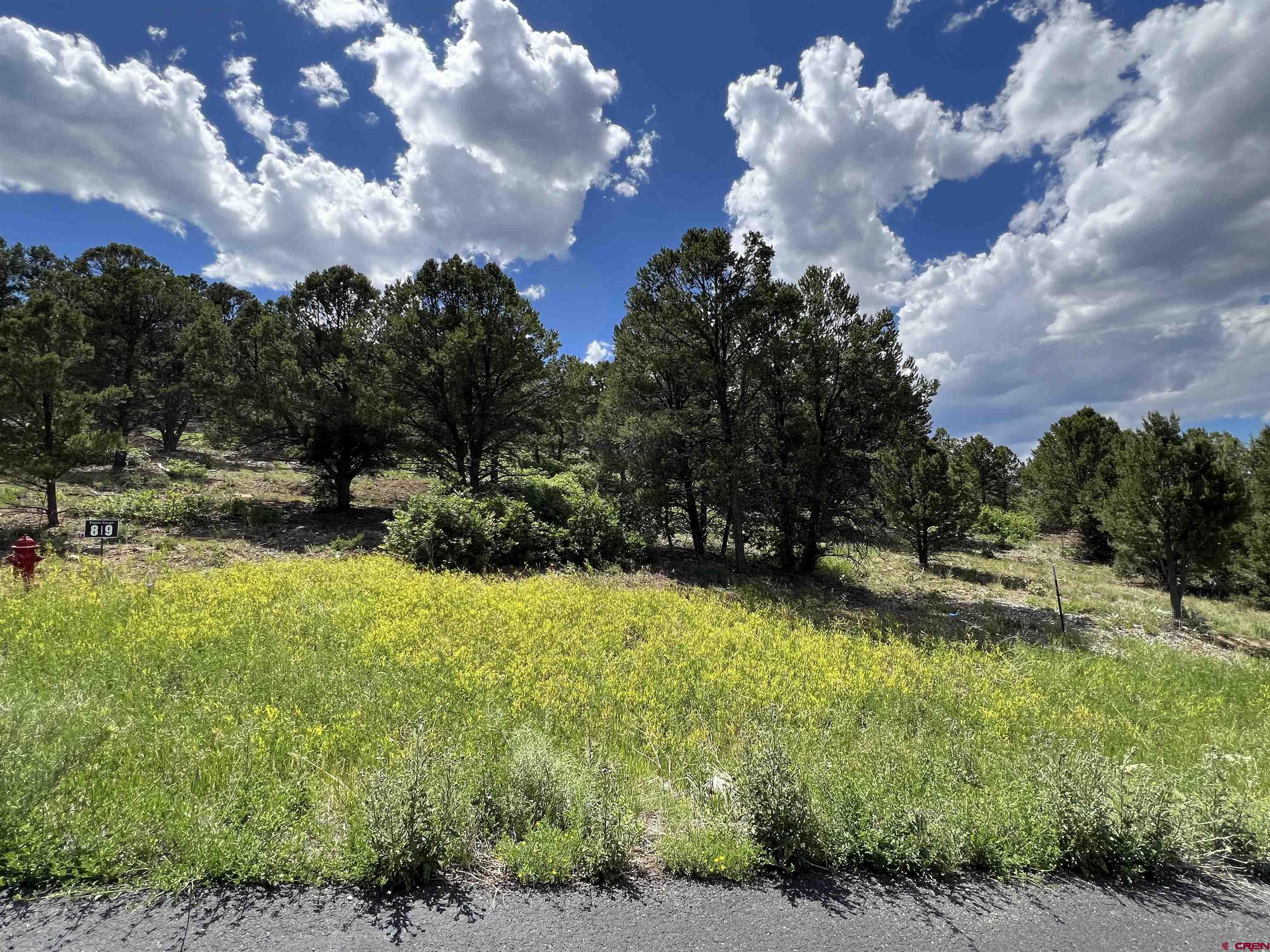 Lot 9 Pointe Escape Drive Ridgway, CO 81432 - Photo 5 of 33