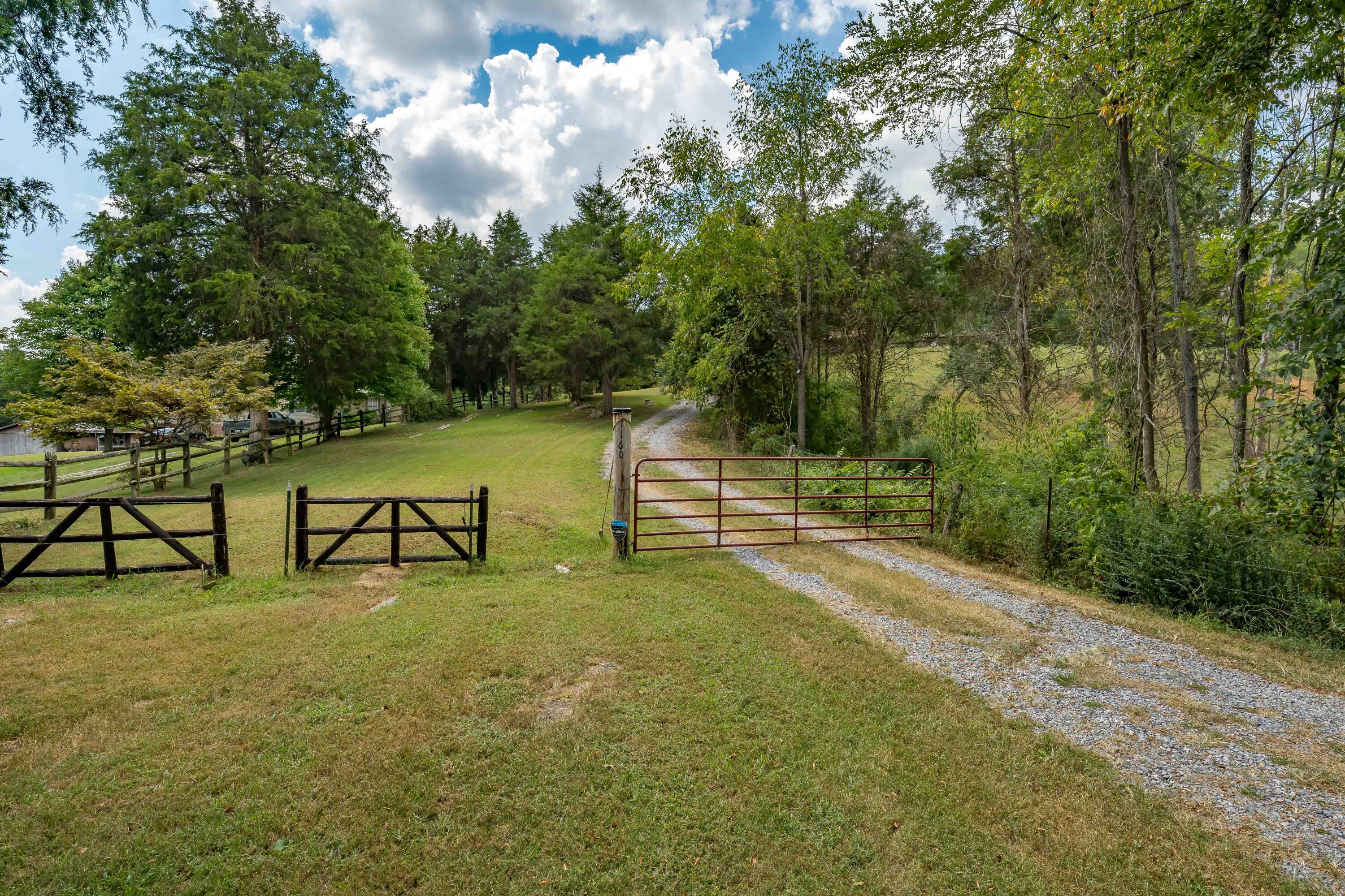 1160 Woolsey Road Greeneville, TN 37745 - Photo 54 of 58 TBD Adams Road (54 of 80)