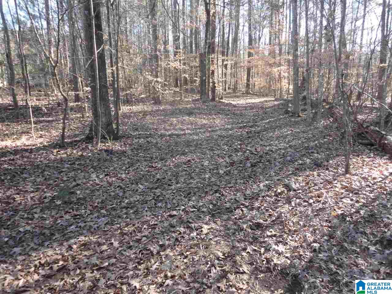 445 Crawfish Lane, Unit 14 15 Ragland, AL 35131 - Photo 5 of 8