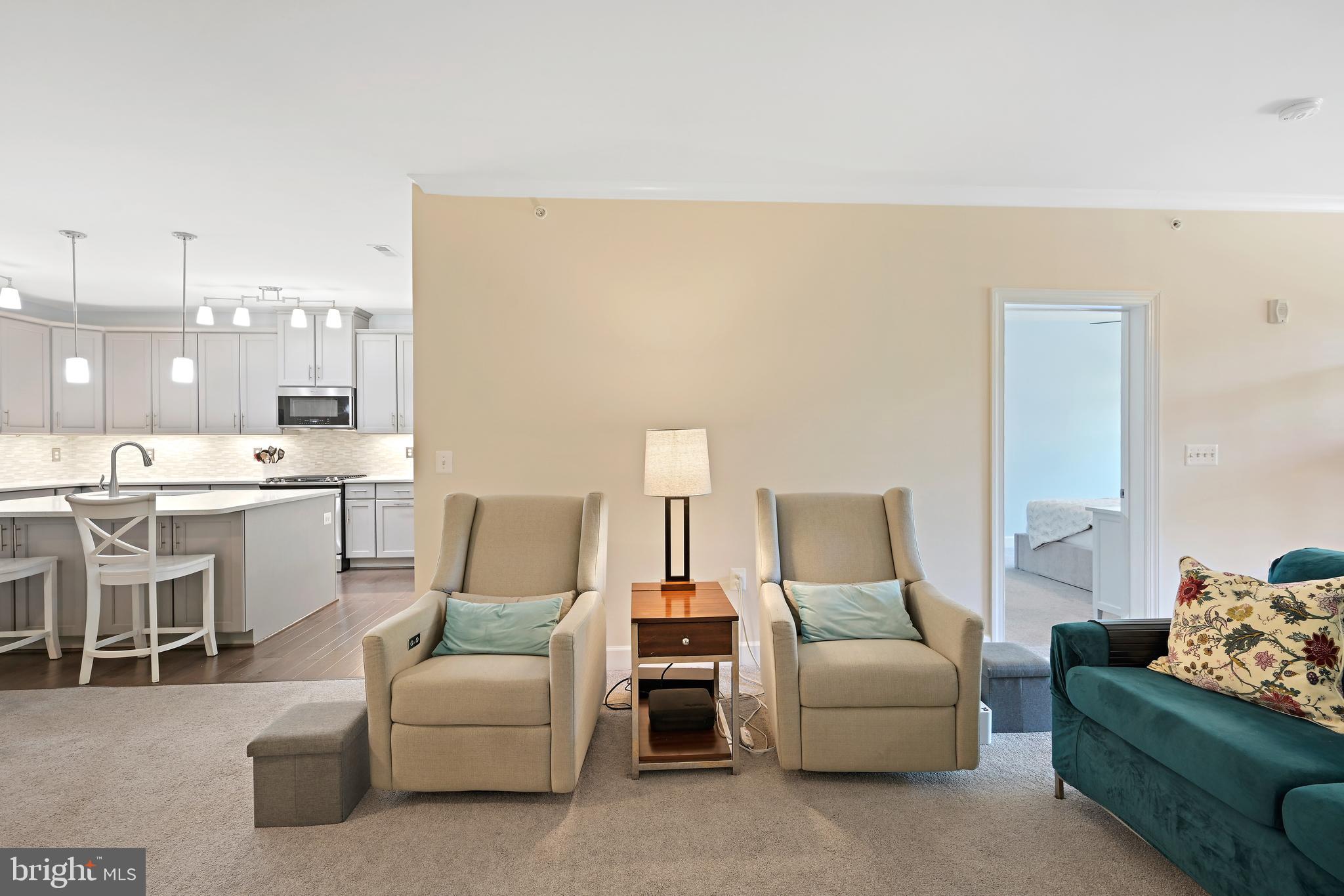 10520 Resort Road, Unit 306 Ellicott City, MD 21042 - Photo 17 of 46 Gallery Image 17