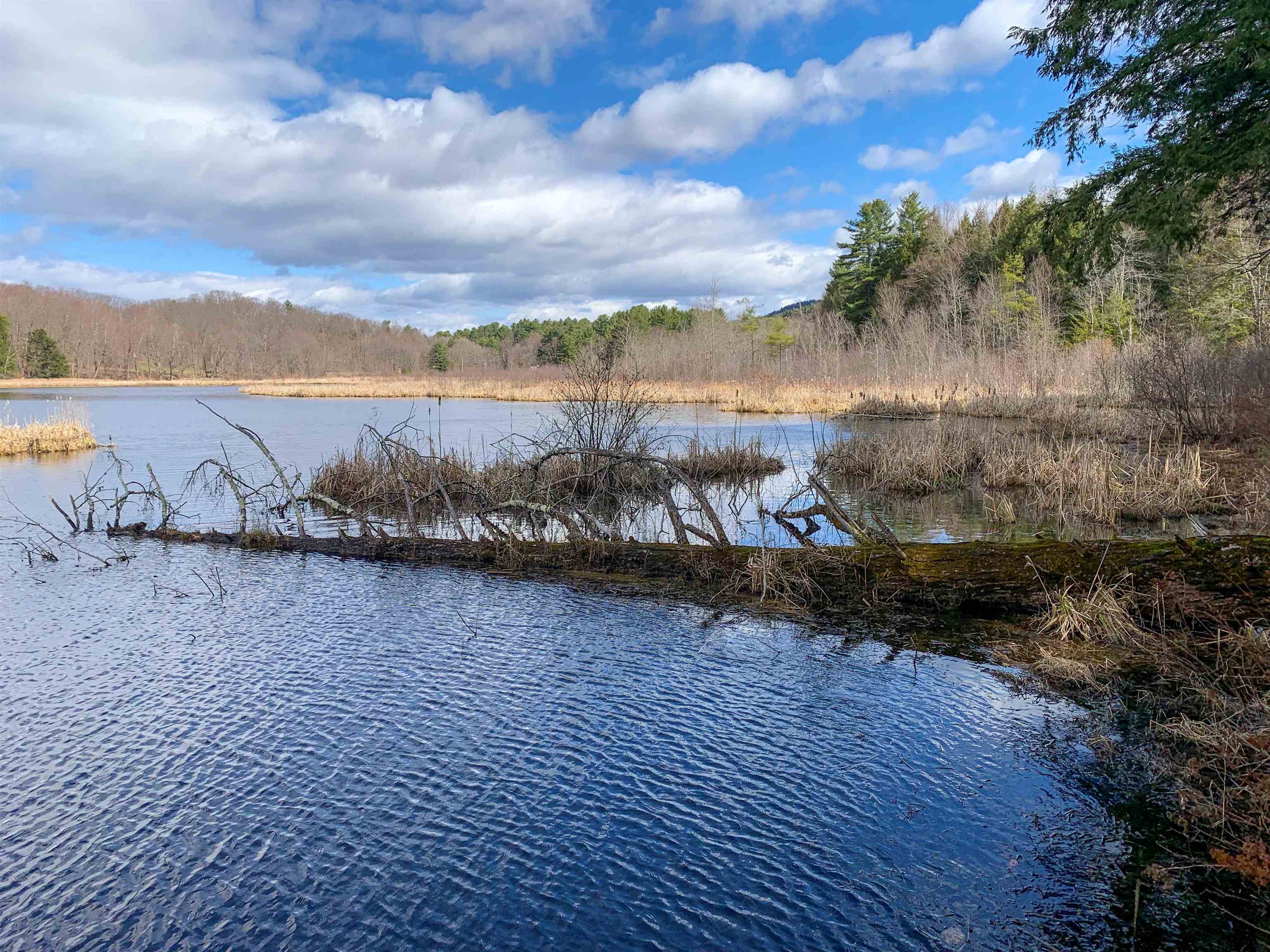 90 Hidden Pastures Road Hinesburg, VT 05461 - Photo 45 of 52