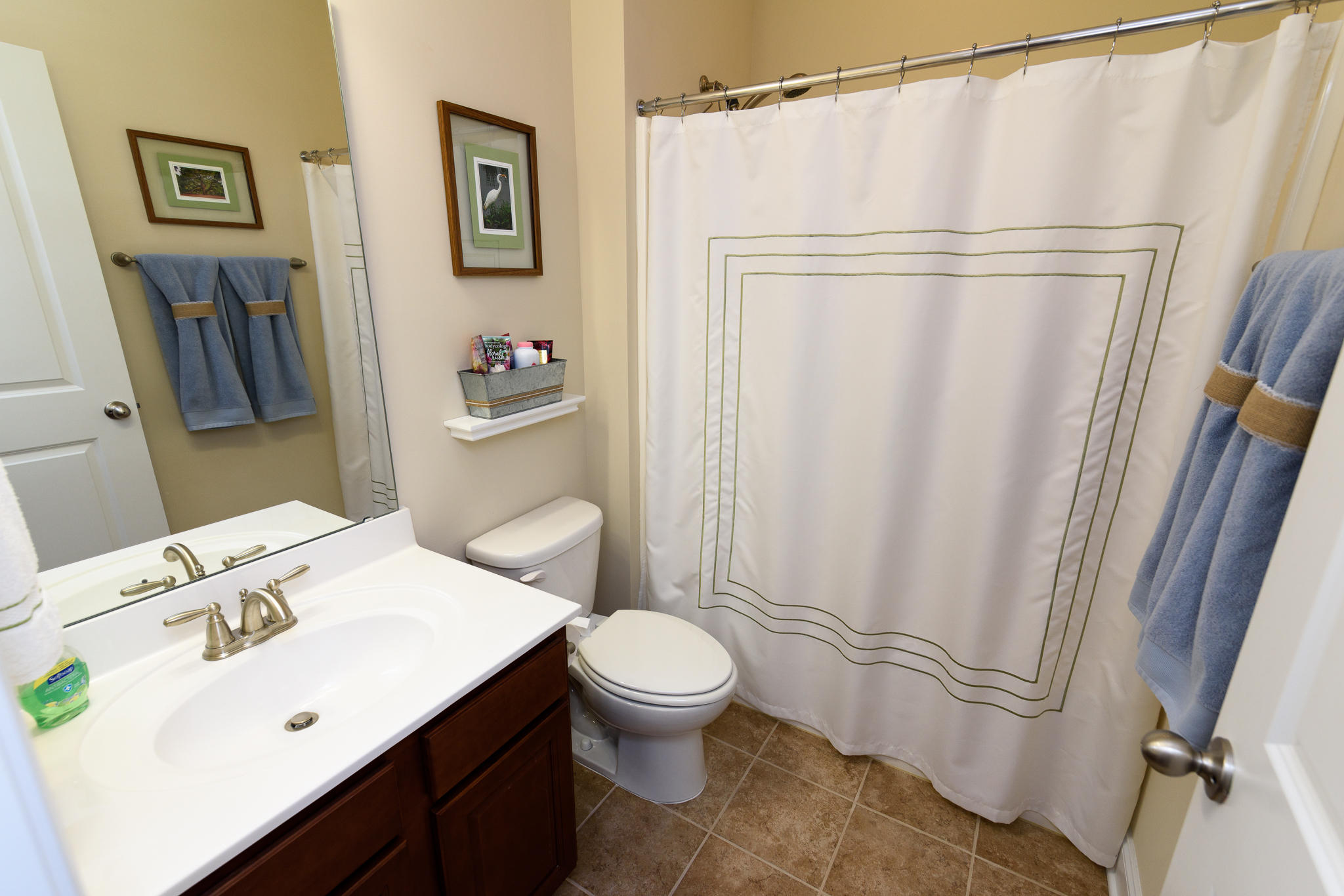 109 Springbank Court Moncks Corner, SC 29461 - Photo 21 of 37 109 Springbank-4