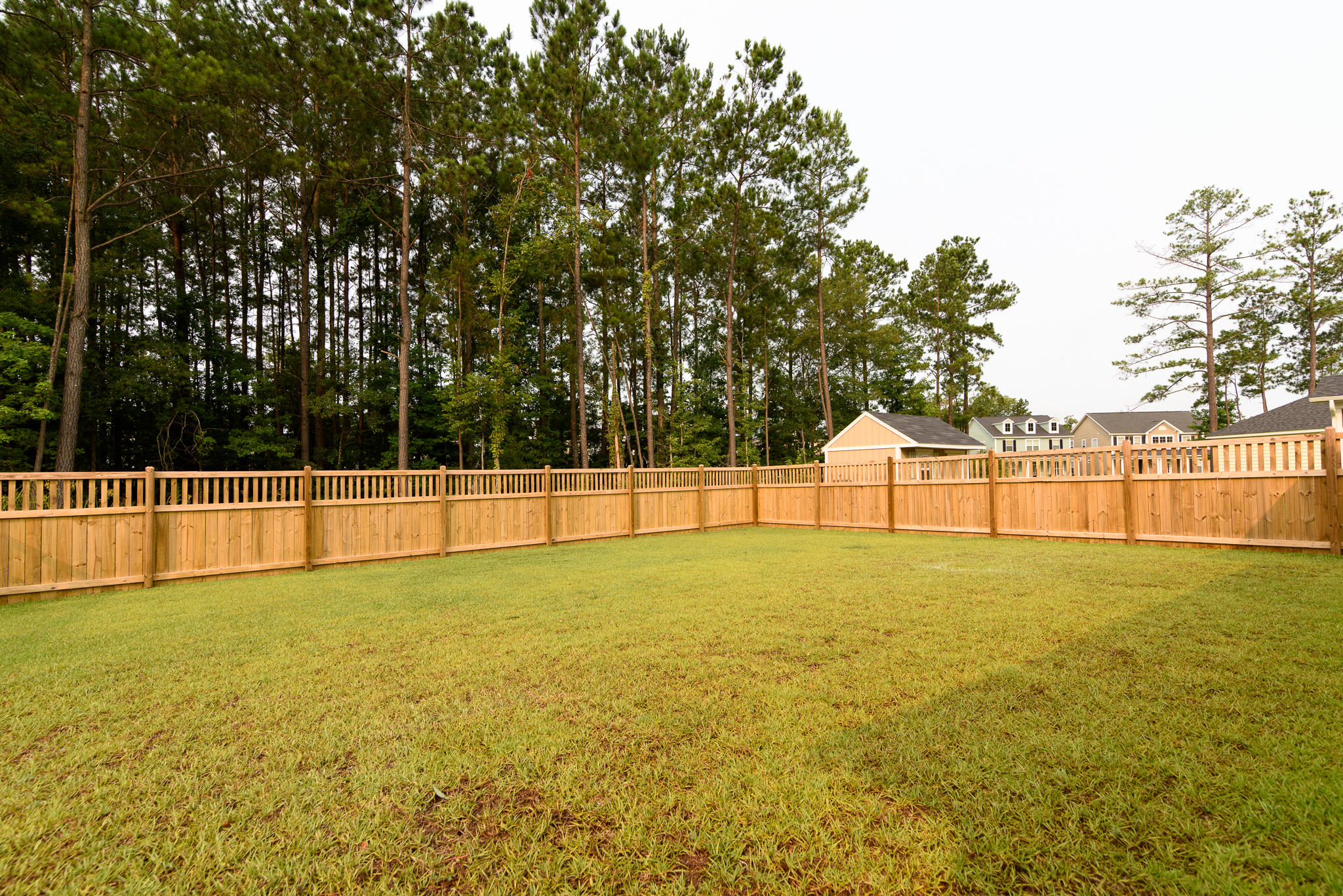 109 Springbank Court Moncks Corner, SC 29461 - Photo 36 of 37 109 Springbank-26