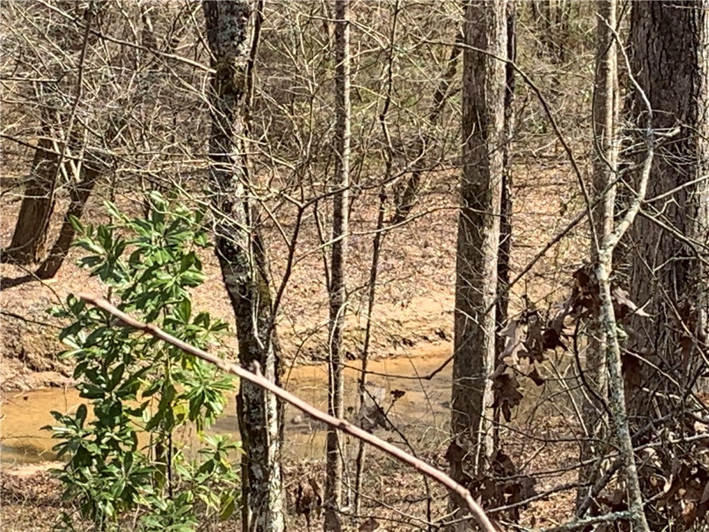 92-acre Coffee Road Walhalla, SC 29691 - Photo 3 of 5 Gallery Image 3