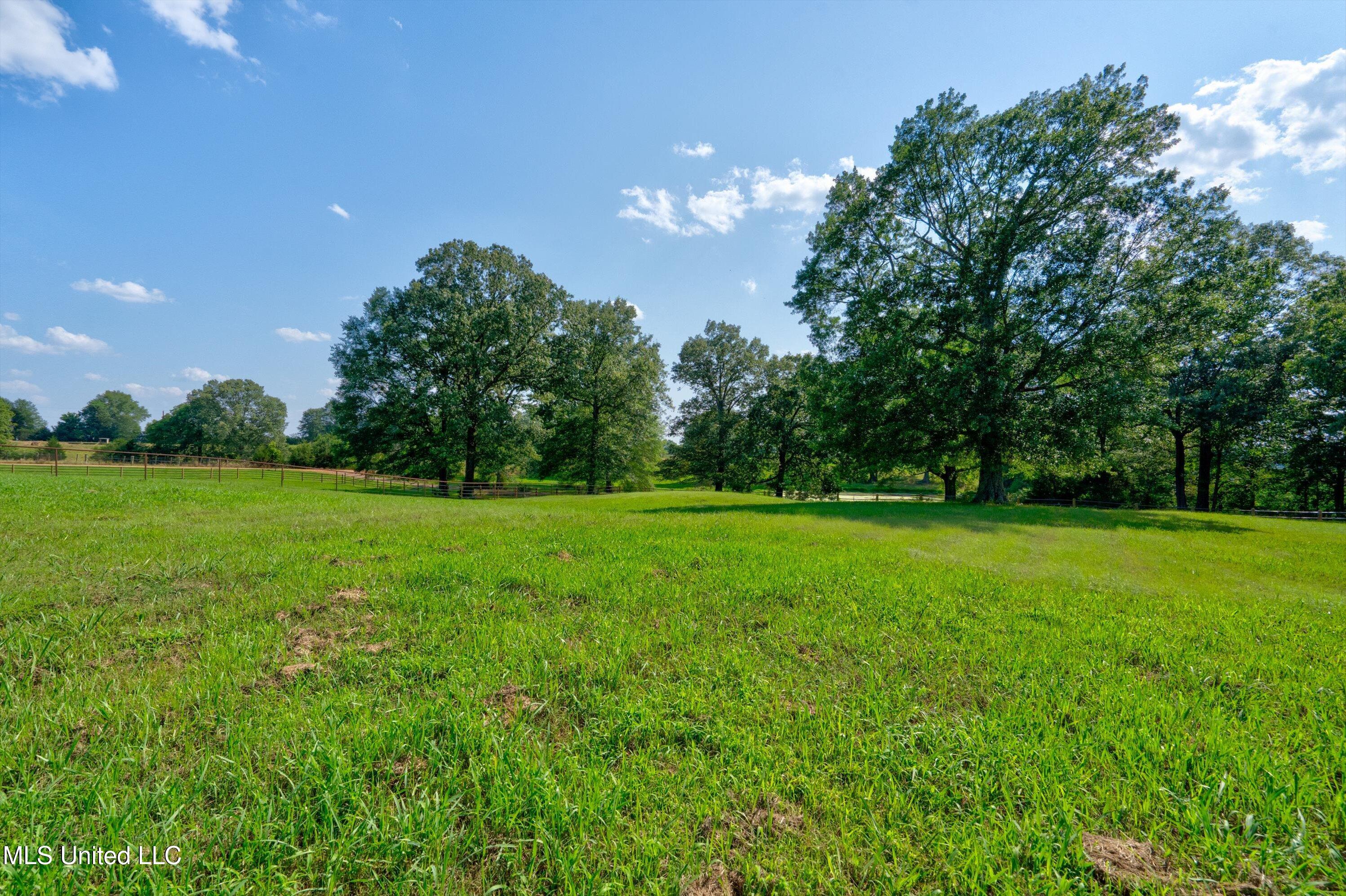 241 Cow Town Road Senatobia, MS 38668 - Photo 53 of 68 02-Land-2