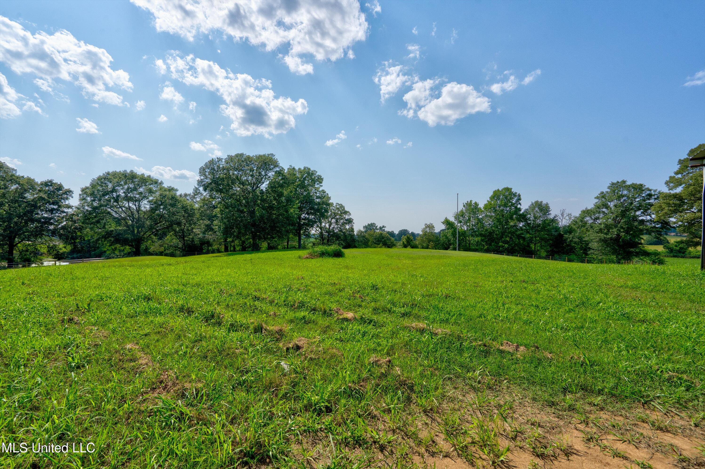 241 Cow Town Road Senatobia, MS 38668 - Photo 54 of 68 03-Land-3
