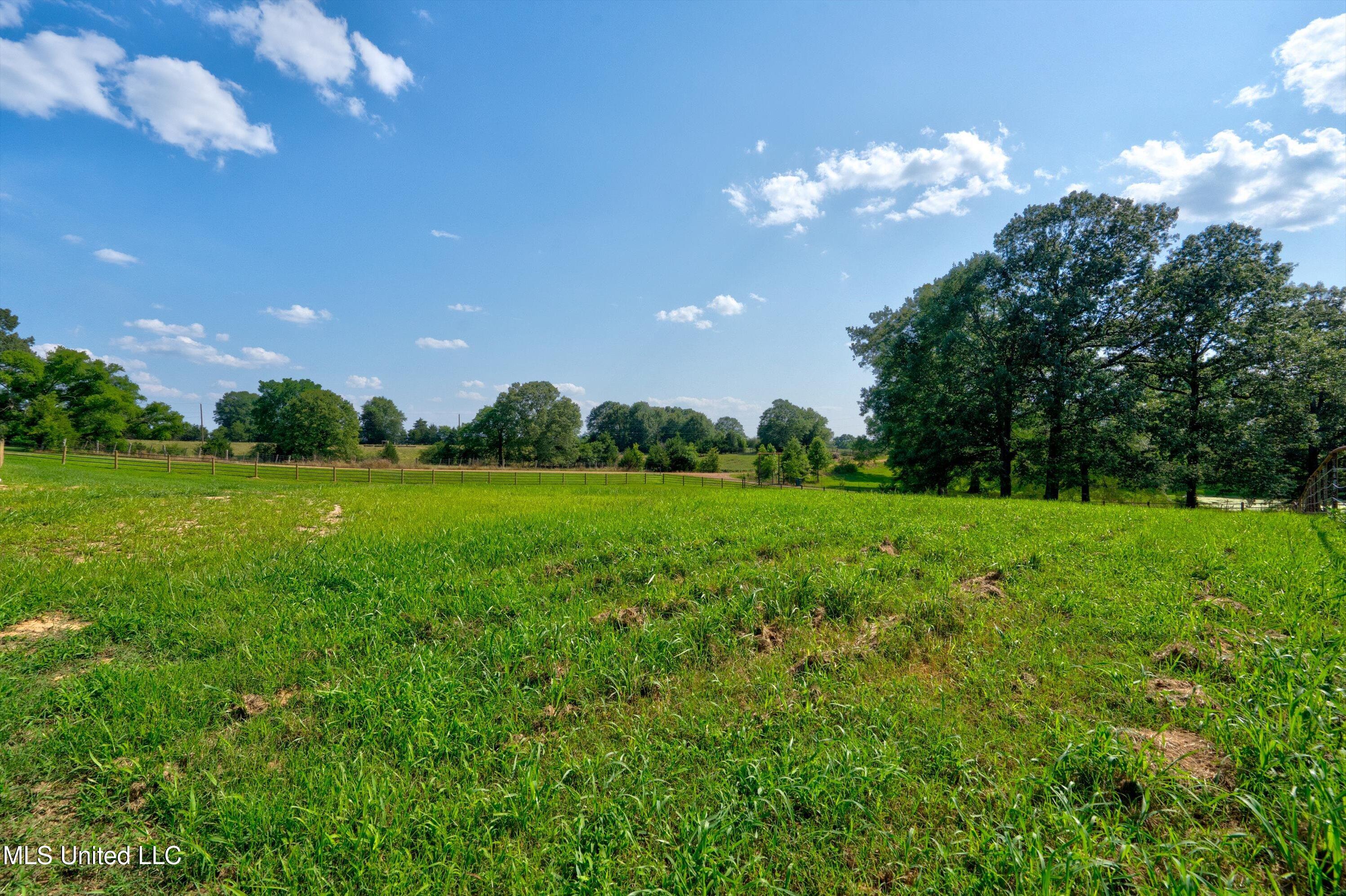 241 Cow Town Road Senatobia, MS 38668 - Photo 55 of 68 04-Land-4