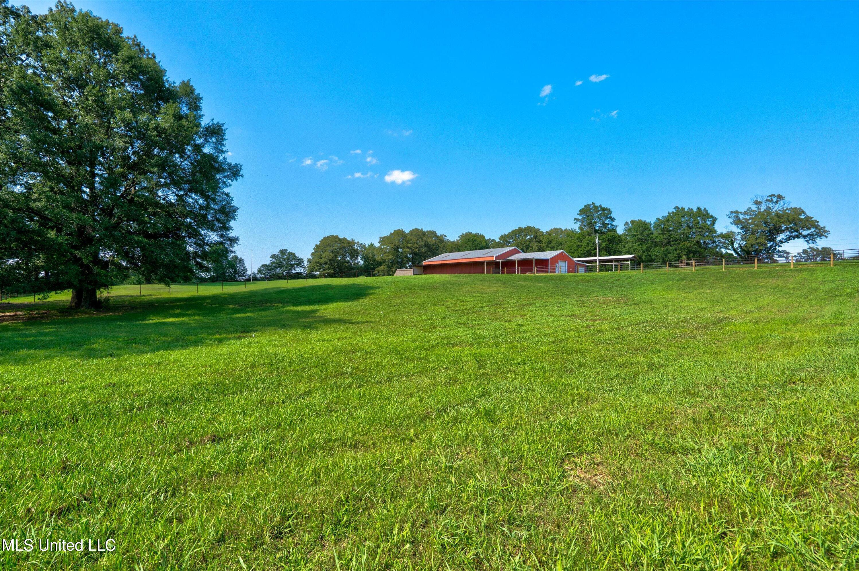 241 Cow Town Road Senatobia, MS 38668 - Photo 56 of 68 05-Land-5