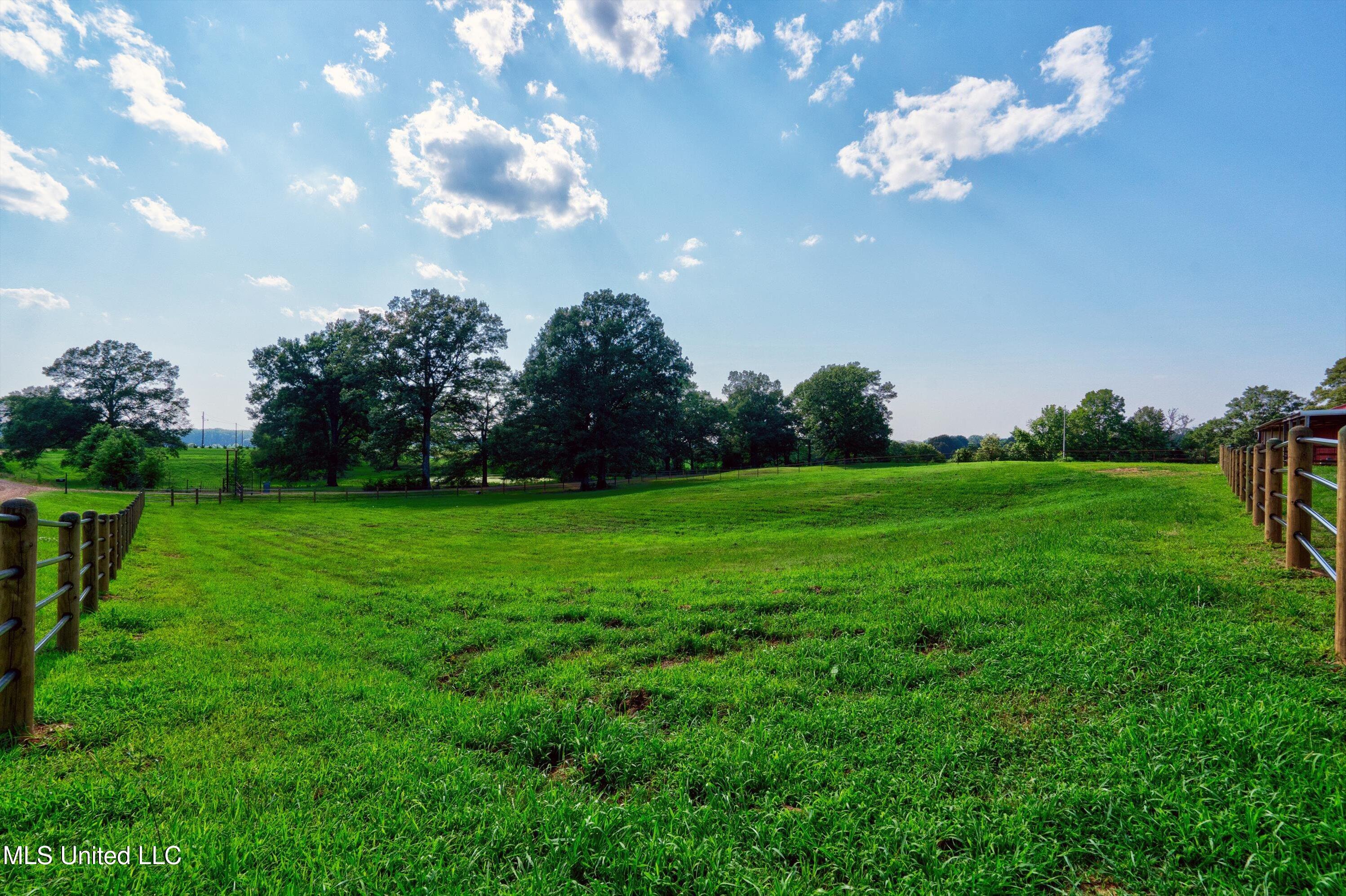 241 Cow Town Road Senatobia, MS 38668 - Photo 57 of 68 06-Land-6