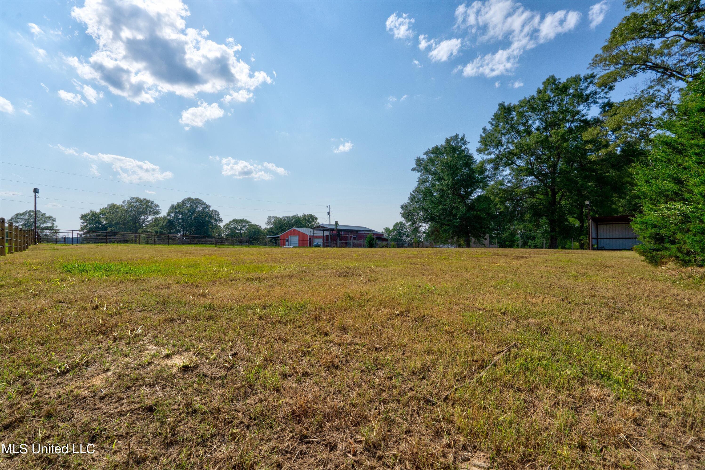 241 Cow Town Road Senatobia, MS 38668 - Photo 62 of 68 11-Land-11