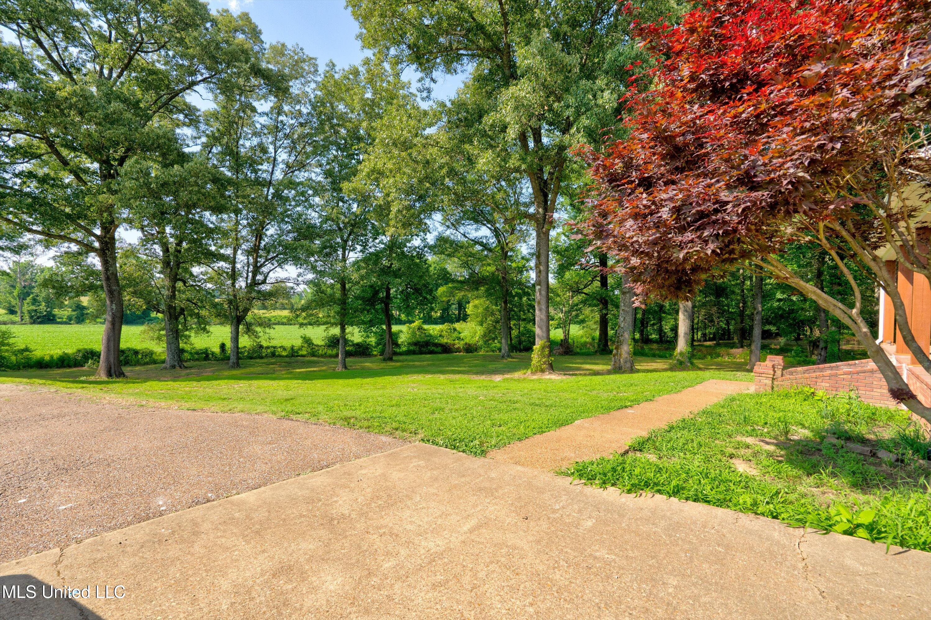 241 Cow Town Road Senatobia, MS 38668 - Photo 66 of 68 15-Land-15