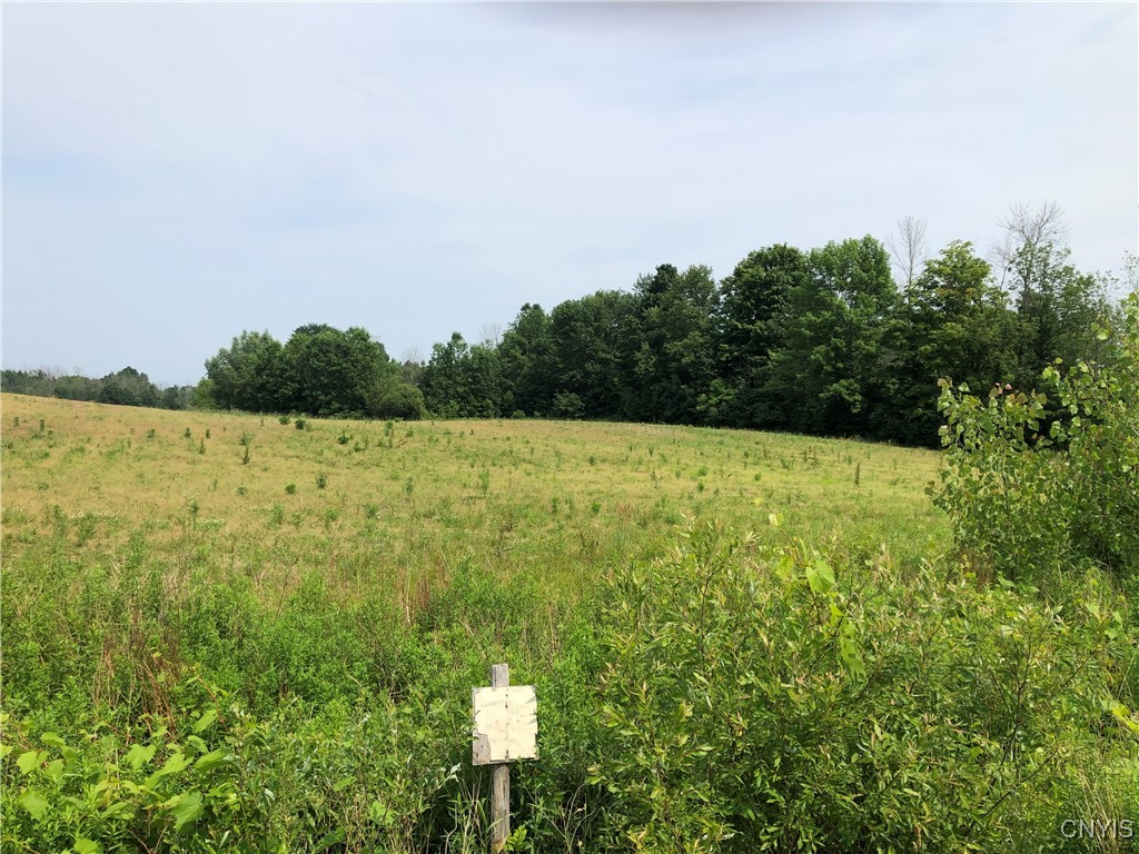 0 Co Rt 53 Oswego, NY 13126 - Photo 1 of 1 Gallery Image 1