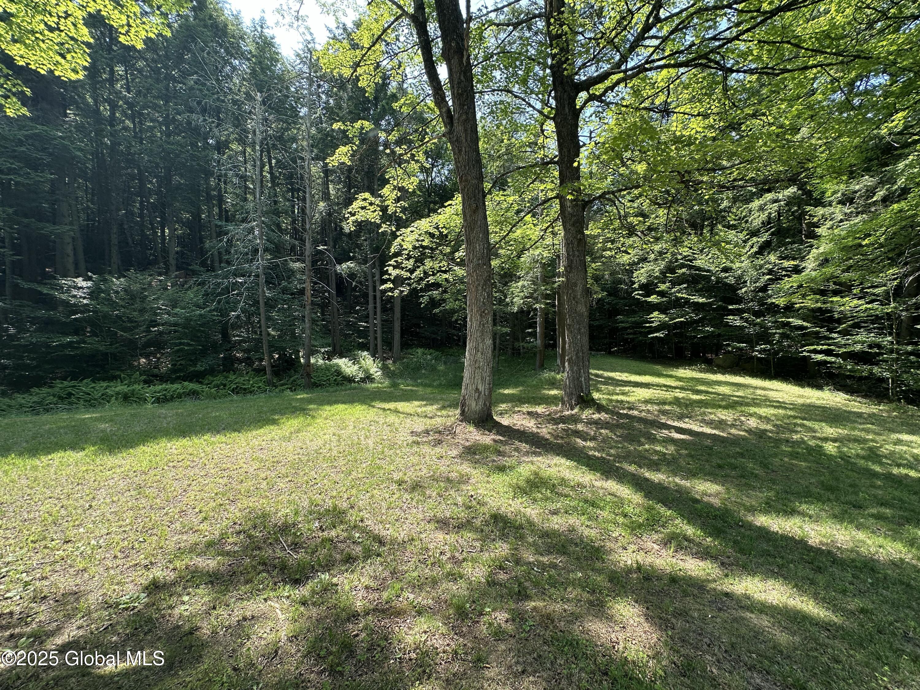 13 Taylor Woods Road Fort Ann, NY 12827 - Photo 73 of 78 IMG_8668