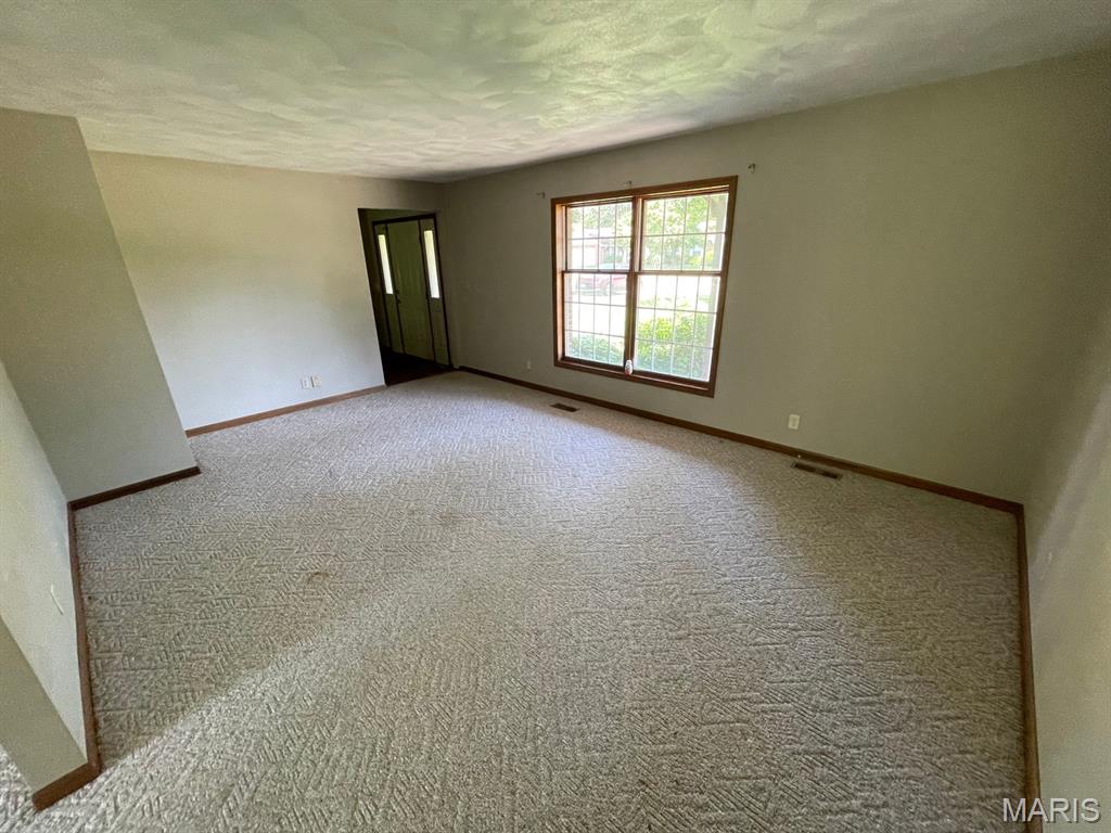 4441 Old Caseyville Road Belleville, IL 62223 - Photo 4 of 30