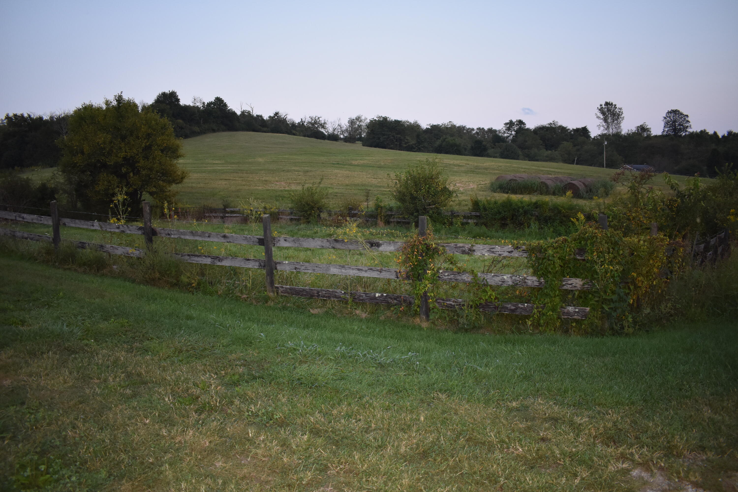 2136 Cole Road Winchester, KY 40391 - Photo 10 of 11 DSC_0520