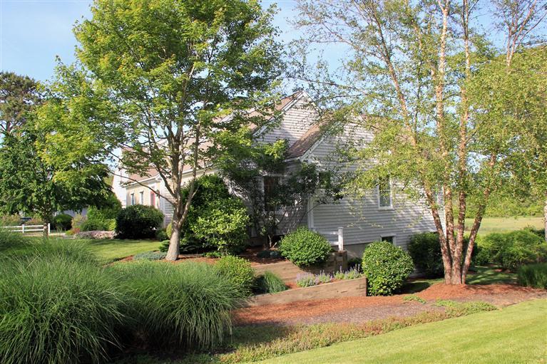 46 Lookout Road Yarmouth Port, MA 02675 - Photo 4 of 35 a view of a garden with trees