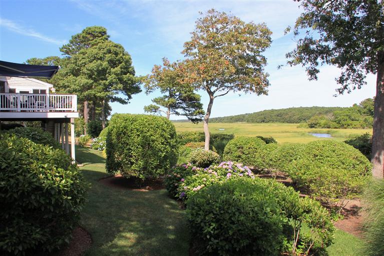 46 Lookout Road Yarmouth Port, MA 02675 - Photo 10 of 35 a view of a garden with an outdoor space