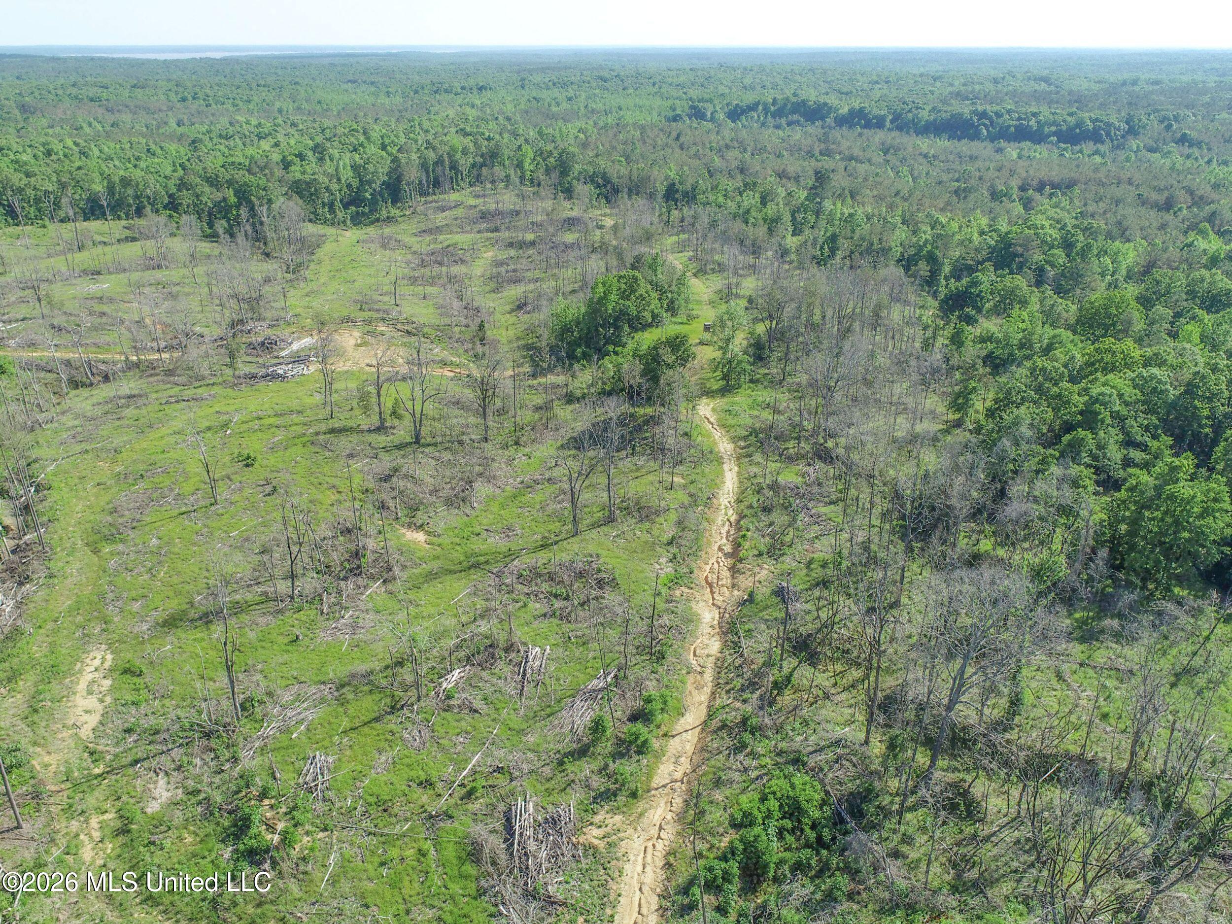Wayne Massie Road Como, MS 38619 - Photo 31 of 184 3ctwmrd15