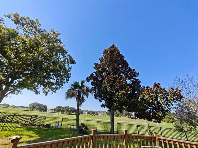 a view of a deck with a garden