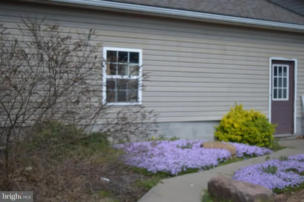 a front view of a house with plants