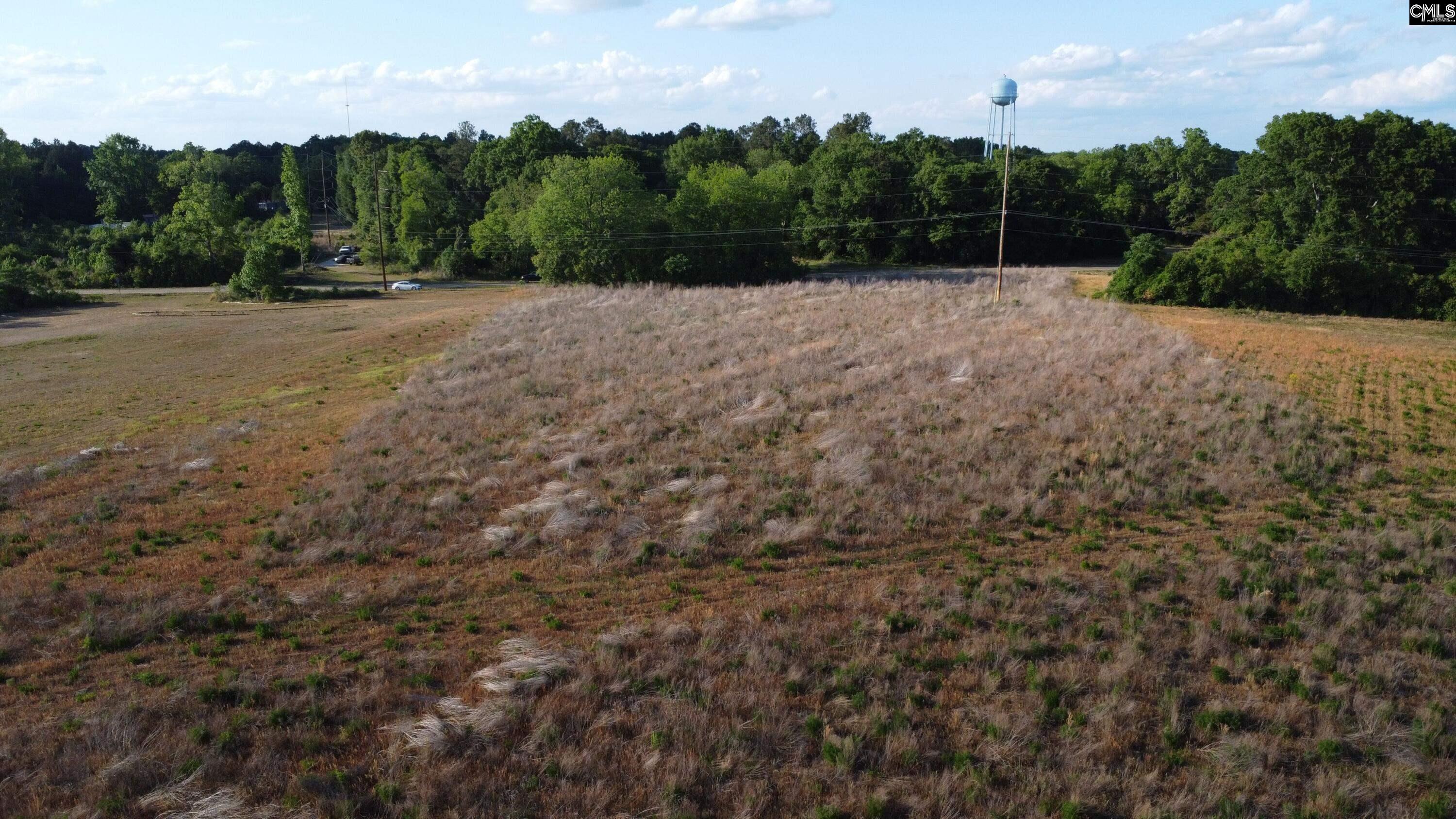 Tbd Rosemary Road Williston, SC 29853 - Photo 2 of 8