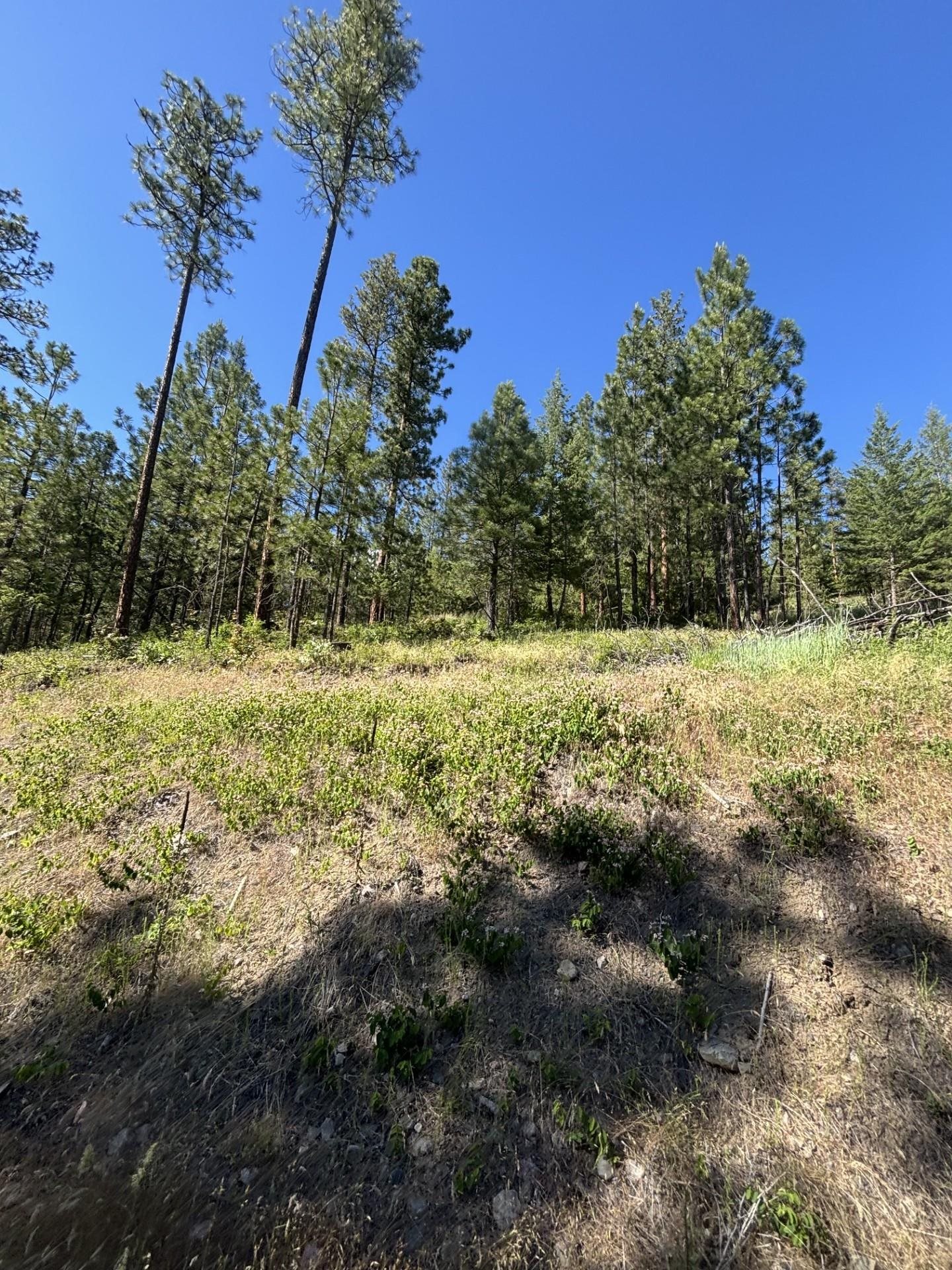 2392 Cozy Nook Road Chewelah, WA 99109 - Photo 9 of 21