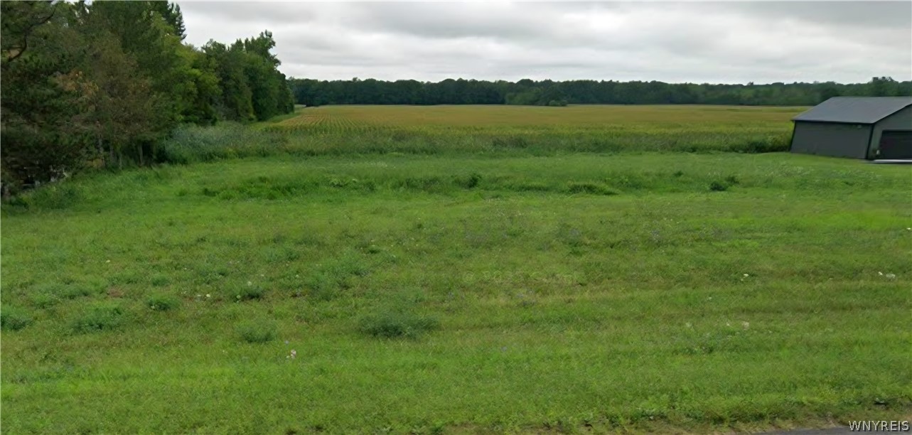 0 Ridge Road Ransomville, NY 14131 - Photo 10 of 10