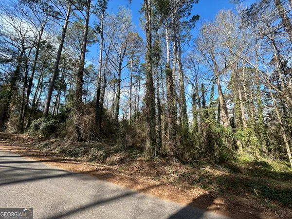 $12,000 | 0 Samples Road, West Point, GA 31833