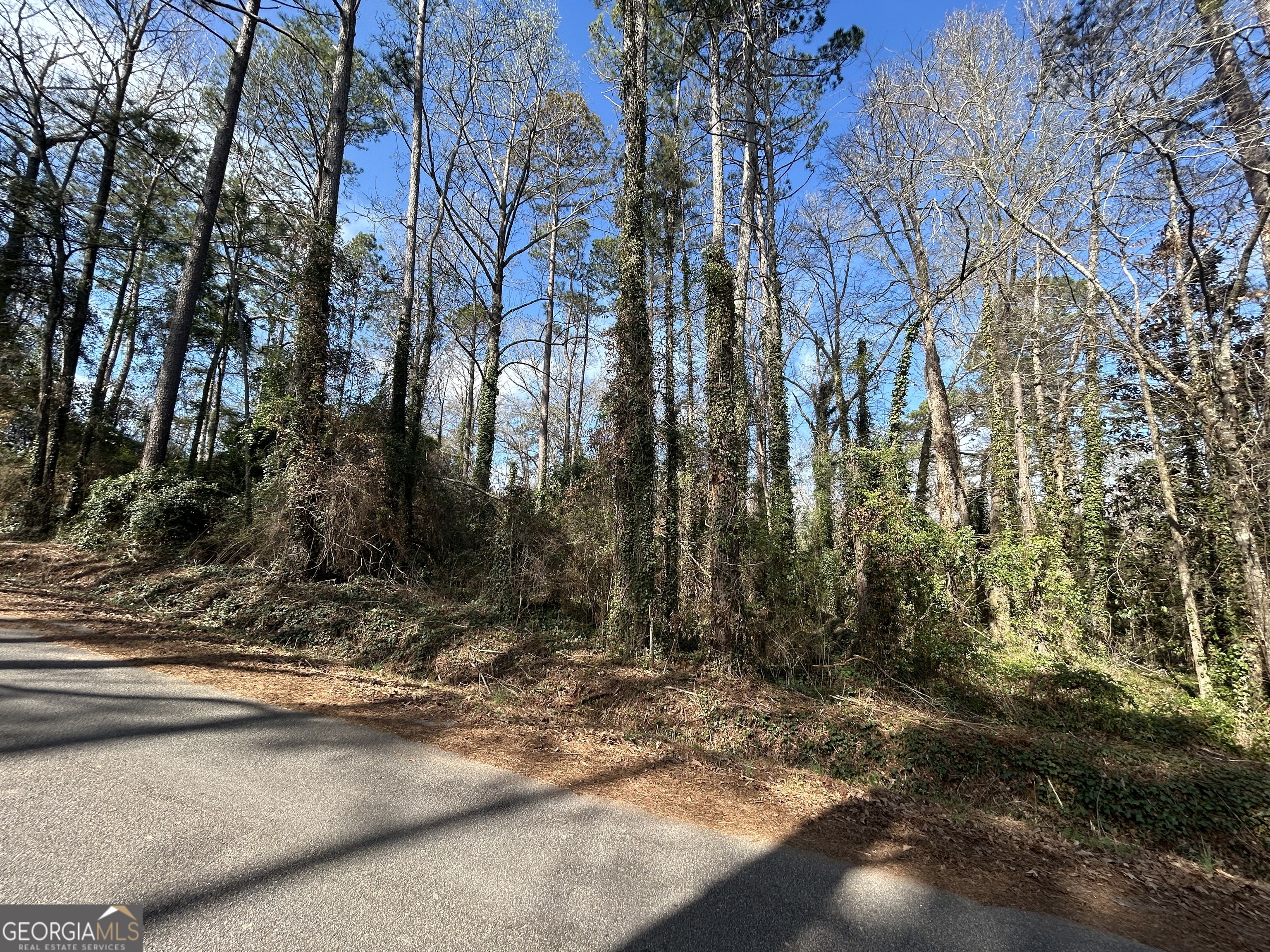 0 Samples Road West Point, GA 31833 - Photo 2 of 4