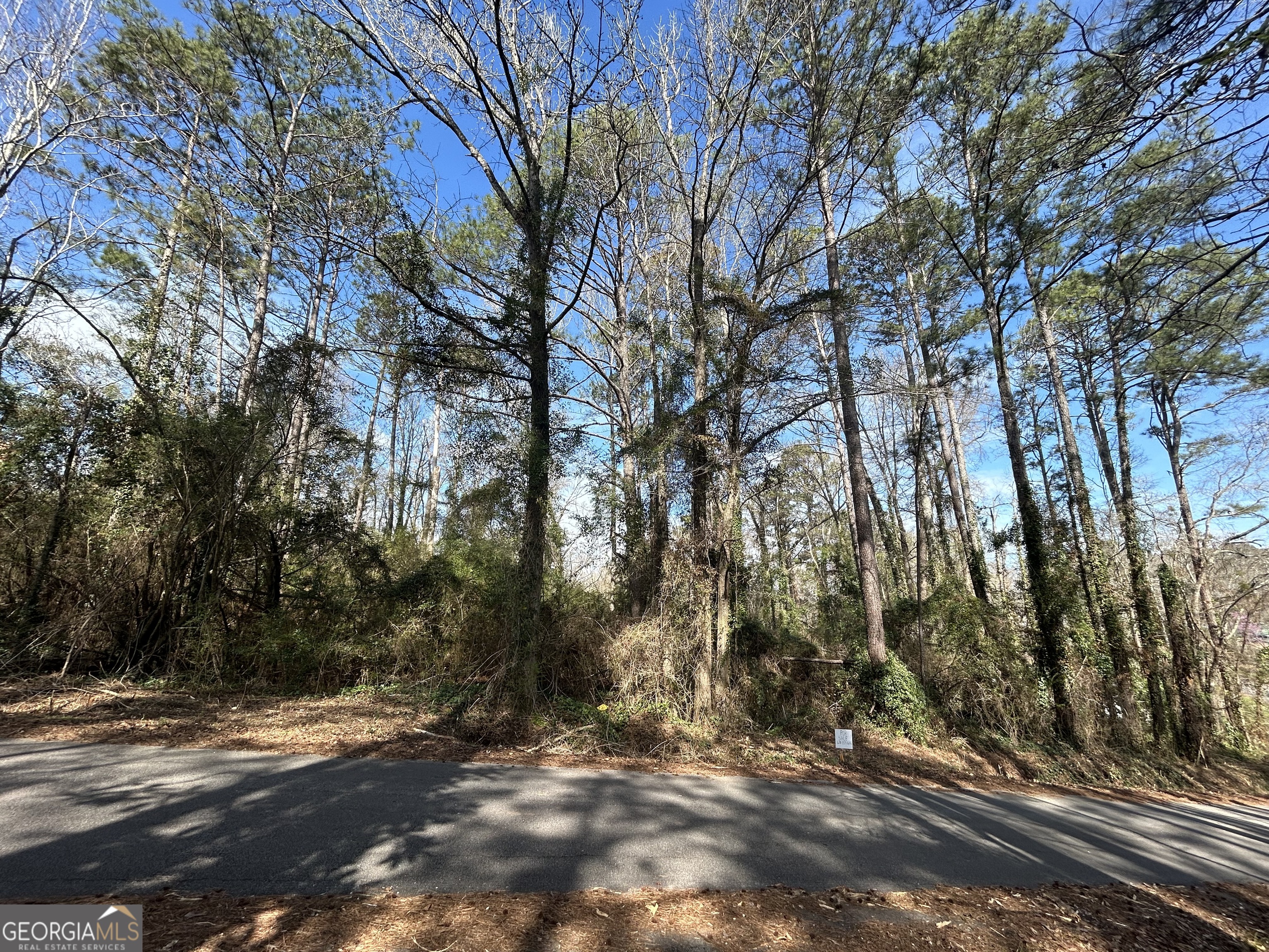 0 Samples Road West Point, GA 31833 - Photo 3 of 4