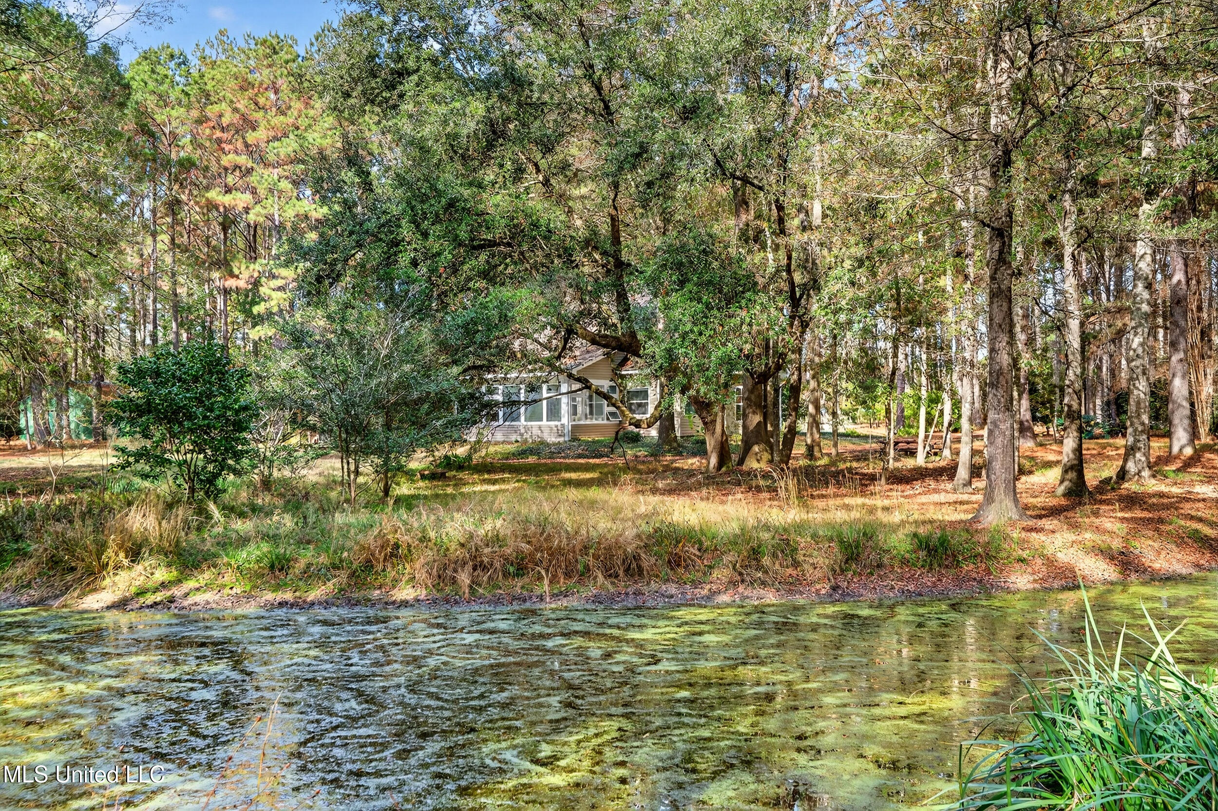 217 Pine Grove Road Picayune, MS 39466 - Photo 18 of 61 54_a7404825-2