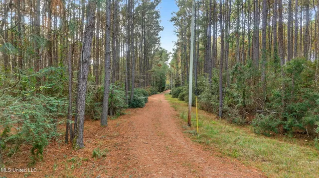 $595,000 | 217 Pine Grove Road, Picayune, MS 39466