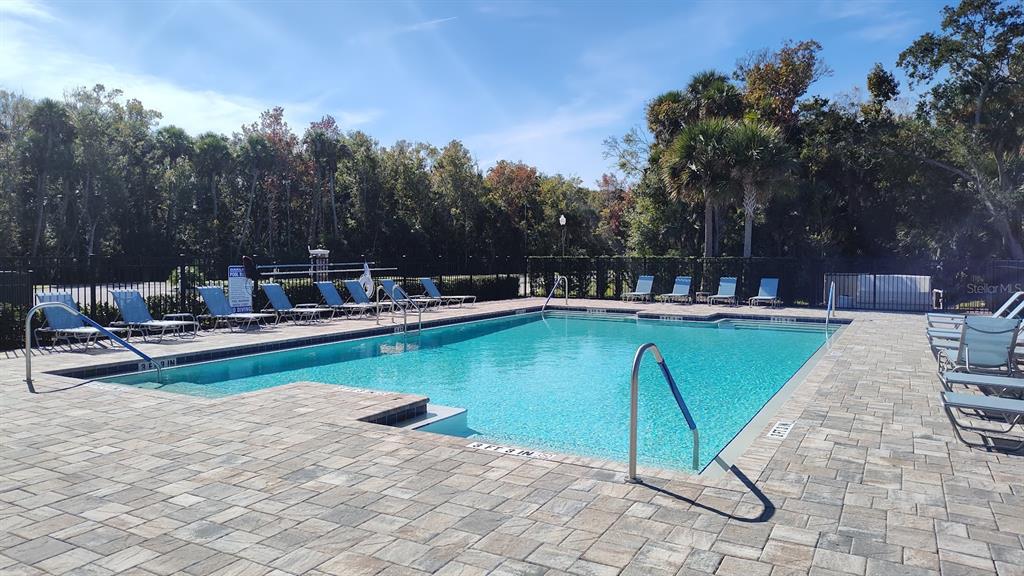 1632 Delphi Way New Smyrna Beach, FL 32168 - Photo 50 of 52 a view of a swimming pool with chairs