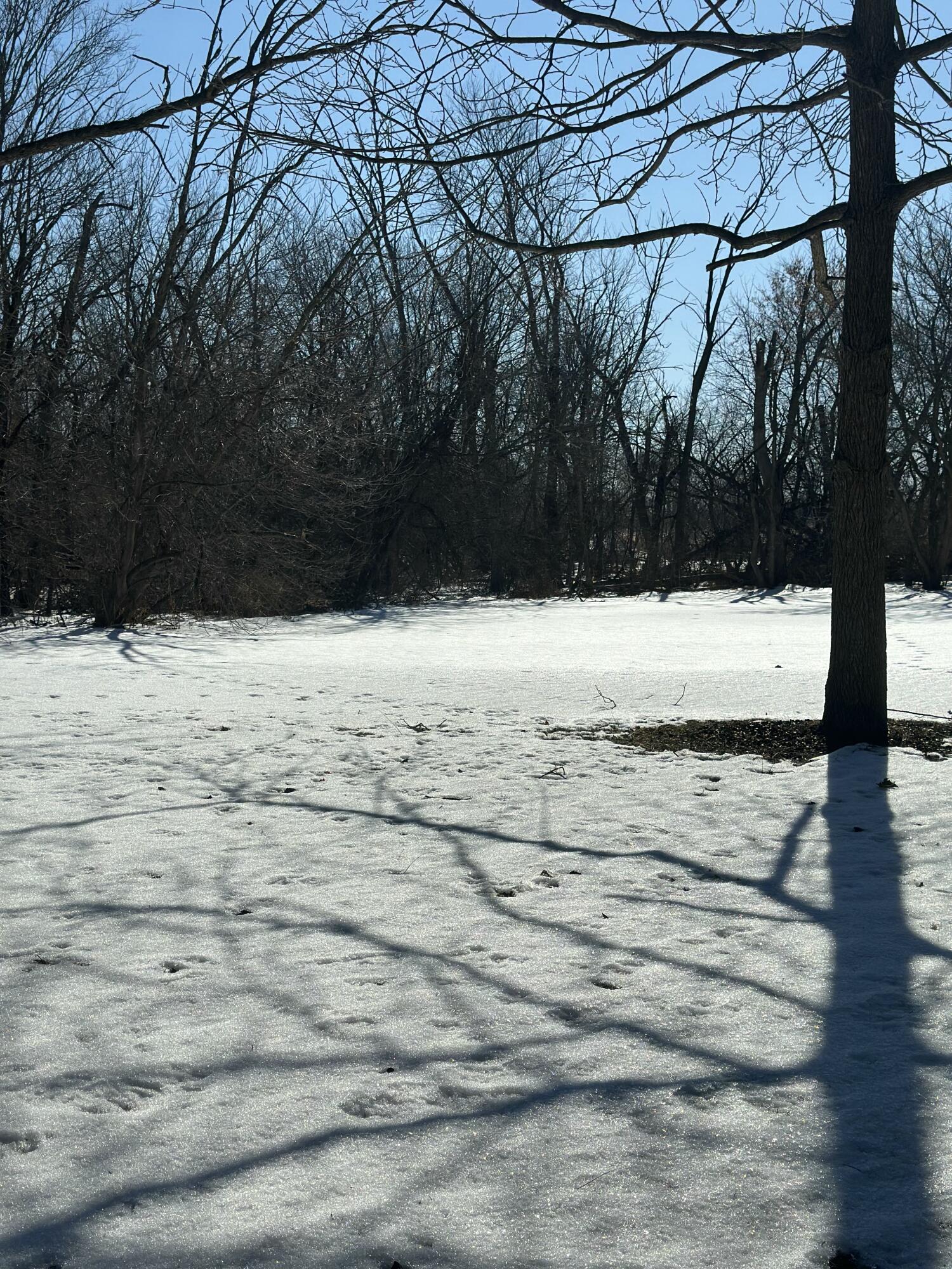 3977 East Elm Road Oak Creek, WI 53154 - Photo 9 of 13 IMG_3538