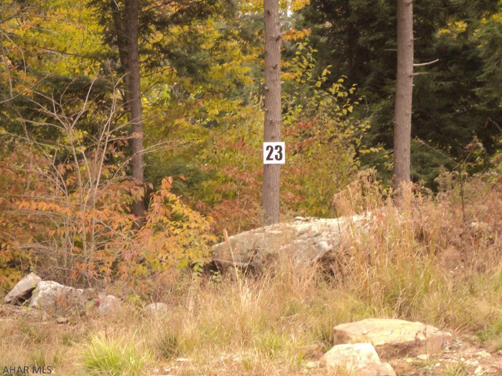 Lot # Bear Rock Road Ashville, PA 16613 - Photo 3 of 5