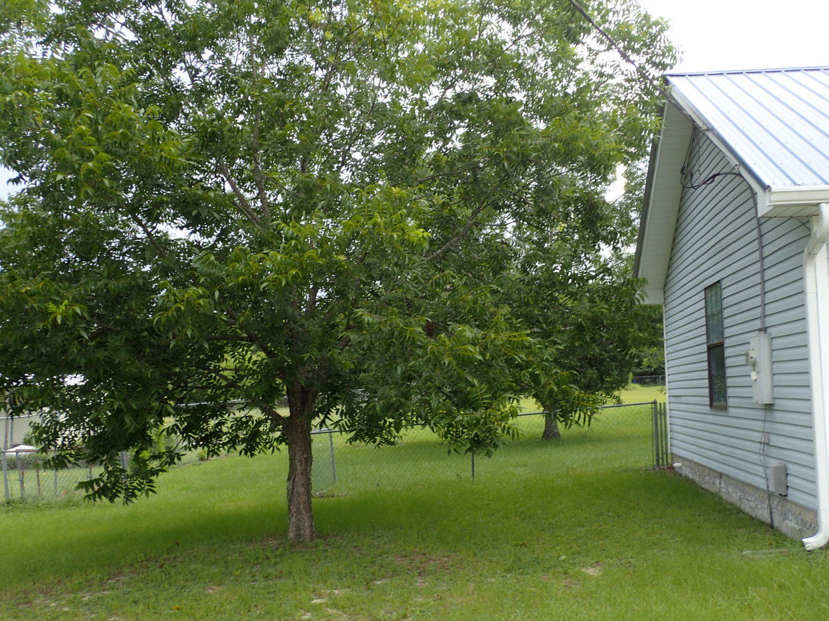 127 Stephens Lane Crestview, FL 32539 - Photo 12 of 15 04-P7223602