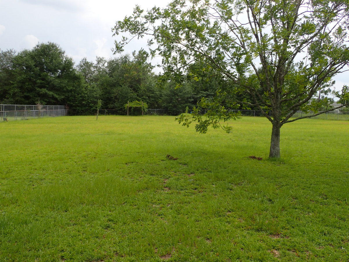 127 Stephens Lane Crestview, FL 32539 - Photo 14 of 15 10-P7223608