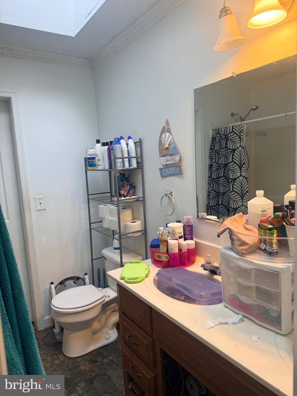 121 Elizabeth Street Culpeper, VA 22701 - Photo 8 of 22 a bathroom with a sink mirror vanity and toilet