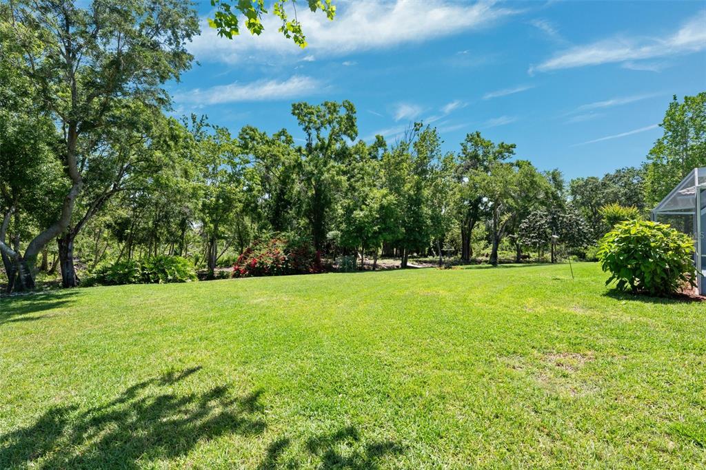 6901 Arabian Road Odessa, FL 33556 - Photo 49 of 70 Gallery Image 49