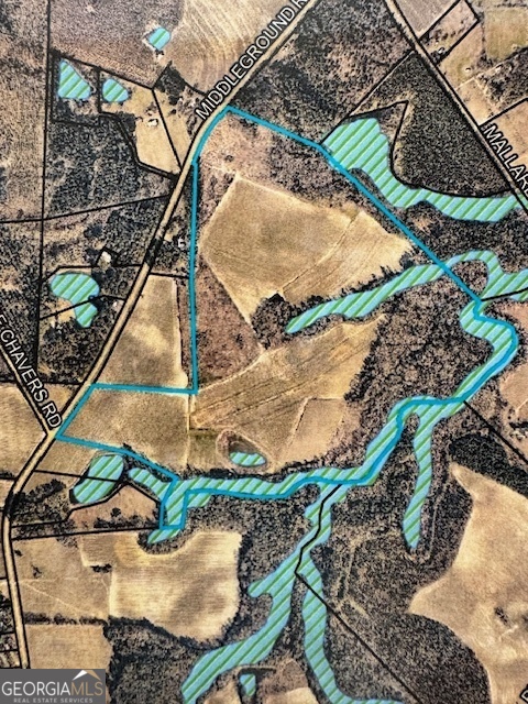 0 Middle Ground Road Statesboro, GA 30461 - Photo 4 of 39 an aerial view of a house