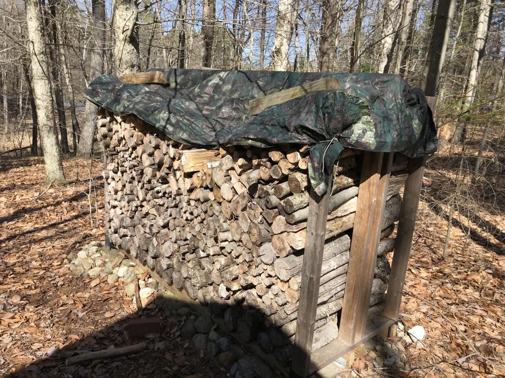 128 Starbird Corner Road Bowdoin, ME 04287 - Photo 9 of 30 UNADJUSTEDNONRAW_thumb_424d
