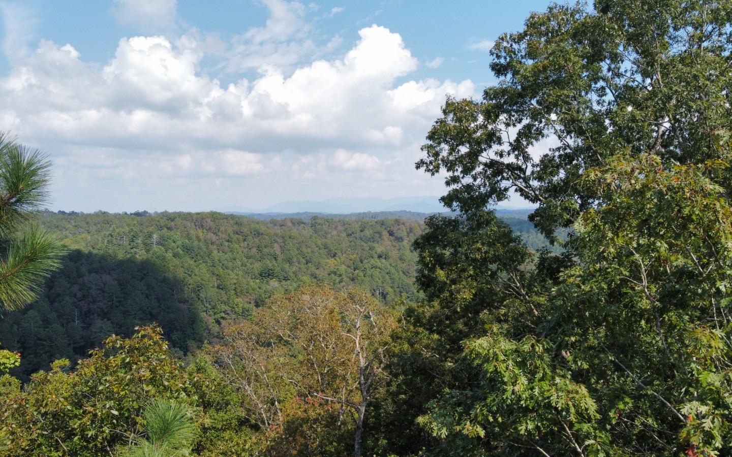 Mango Lane Ellijay, GA 30540 - Photo 2 of 4 Additional View